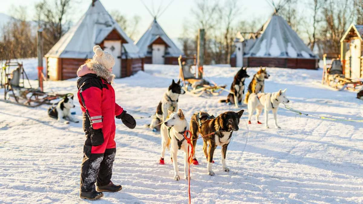 Už šventines siuntas – kelionė į Laplandiją Už šventines siuntas – kelionė į Laplandiją