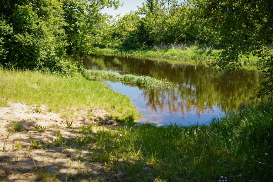 Kultūros ir poilsio parko braidykloje maudytis vis dar nerekomenduojama